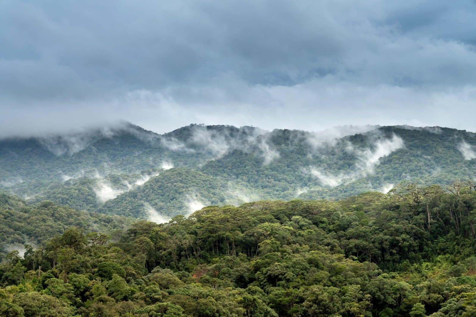 Exploring the Beauty of Nature: A Dream Meaning Analysis